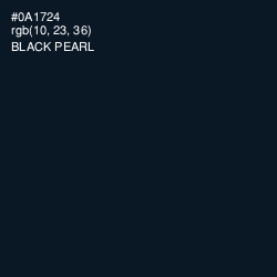 #0A1724 - Black Pearl Color Image